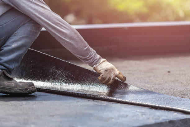 Professional Basement Waterproofing technician working in Pell City, AL